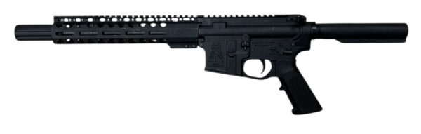 PALMETTO STATE ARMORY MAD DOG - 15 SEMI AUTO