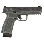 Arex Delta L 9mm Luger (9x19 Para) 4.5 Barrel 17 Rounds Gray