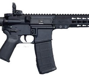 Armalite M-15 Tactical 5.56 NATO 16" Barrel 30-Rounds with Adjustable Magpul STR Collapsible Stock