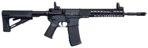 Armalite M-15 Tactical 5.56 NATO 16" Barrel 30-Rounds with Adjustable Magpul STR Collapsible Stock