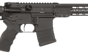 Armalite M15 Competition .223 Wylde 16" Barrel 10-Rounds CO Compliant