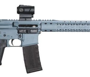 Black Rain Ordnance Spec-15 Cold War Gray 5.56 16" Barrel 30-Rounds w/ Burris FastFire