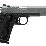 Browning 1911-380 Black Label Northern Lights .380 ACP 4.25" Barrel 8-Rounds
