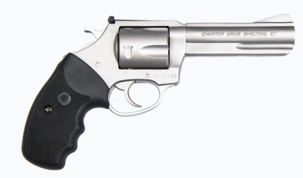 Charter Arms Pitbull Stainless .40 SW 4.2" Barrel 5-Rounds