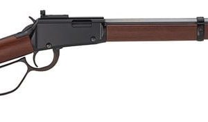 Henry Repeating Arms Small Game 22LR 20-inch 15Rnd Peep Sight