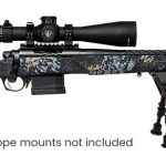 Horizon Firearms Vandal Prime Iota Eko 6.5 Creedmoor 22" Barrel 5-Rounds