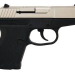 Kel-Tec P-11 9mm 3.1-inch Barrel 10rd Nickel Boron Slide Black Frame