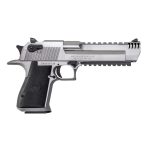 Magnum Research Desert Eagle Mark XIX Stainless .44 Rem Mag 6" Barrel 8-Rounds