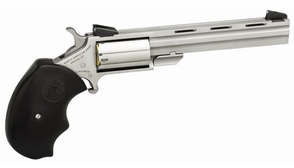 North American Arms Mini-Master Stainless .22 Mag 4" Barrel 5-Rounds