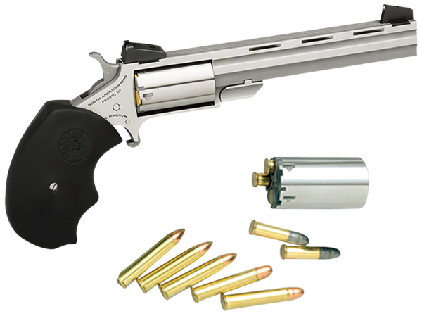 North American Arms Mini-Master Stainless .22 Mag / .22 LR 4" Barrel 5-Rounds