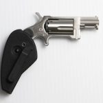 North American Arms Sidewinder Stainless .22 Mag 1.125" Barrel 5-Rounds