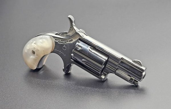 North American Arms The Good Stainless .22 Long 1.125" Barrel 5-Rounds