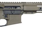 Rise Armament Watchman XR Patriot Brown .22 ARC 18" Barrel 10-Rounds