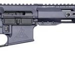 Rise Armament Watchman XR Grey .22 ARC 18" Barrel 10-Rounds
