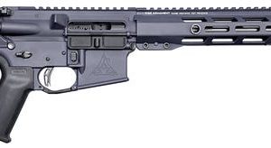 Rise Armament Watchman XR Grey .22 ARC 18" Barrel 10-Rounds