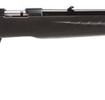 Ruger American Rimfire Standard .17 HMR 22" Barrel 9-Rounds