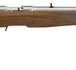 Ruger American Stainless 22 Mag 22-inch 9rd Wood Stock Grip & Forend Checkering