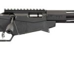 Ruger Precision Rimfire .22 Mag 18" Barrel 9-Rounds Adjustable Stock