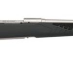 Savage 110 Storm Gray / Stainless .30-06 22-inch 4Rds