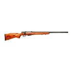 Savage 25 Lightweight Varmint 204Ruger 24-inch BL LAM
