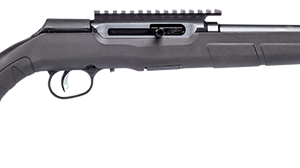 Savage A22 FV-SR Semi-Auto 22LR BL/SYN 16.5-inch 10Rds TB