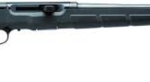 Savage A17 Black Synthetic 17HMR 22-inch 10Rd AccuTrigger
