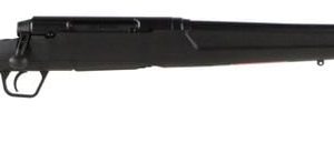 Savage Axis Gen 2 .25-06 Rem 22-inch 4Rds