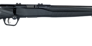 Savage B17 .17 HMR 21" Barrel 10-Rounds
