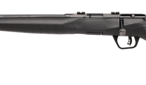 Savage B17 F Blued .17 HMR 21-inch 10Rds Left Hand