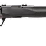 Savage B17 F Compact Blued .17 HMR 18-inch 10Rds AccuTrigger
