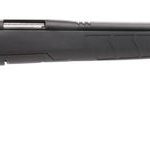 Savage B17 FVSS Black / Stainless .17 HMR 21" Barrel 10-Rounds