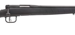 Savage B17 FVSS Black / Stainless .17 HMR 21" Barrel 10-Rounds