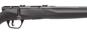 Savage B22 Compact Blued .22 LR 18-inch 10Rds AccuTrigger