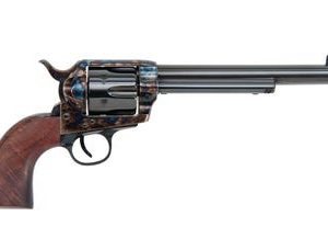 Traditions FrontIER 1873 SA II Gen WLN