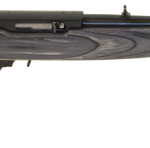 Ruger 10/22 Carbine .22 LR 18.5" Barrel 10-Rounds Mannlicher Stock