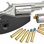 NAA Mini-Revolver Stainless .22 LR / .22 Mag 1.625" Barrel 5-Rounds