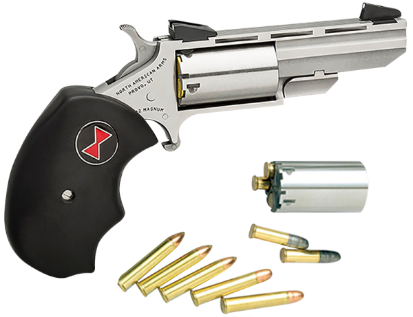 North American Arms Black Widow Stainless .22 LR / .22 Mag 2" Barrel 5-Rounds Fixed Sights