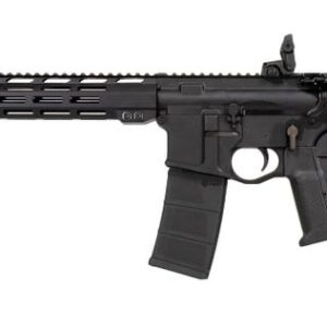 Raptor Defense RD15 .300 AAC Blackout 16" Barrel 30-Rounds Featureless