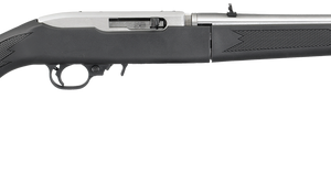 Ruger 10/22 Takedown Stainless .22LR 18.5" Barrel 10-Rounds