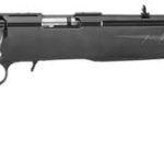 Ruger American Rimfire Compact .22 LR 18" Barrel 10-Rounds