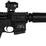 Smith and Wesson M&P15 Sport II 5.56 NATO 16" Barrel 10-Rounds
