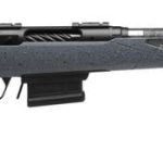 Savage 110 Carbon Predator Gray .22-250 Rem 22" Barrel 4-Rounds