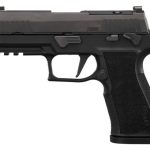 In Stock: P320-XTEN COMP