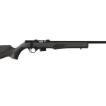 Rossi RB17 17 HMR Bolt-Action Rimfire Rifle with 21 Inch Barrel